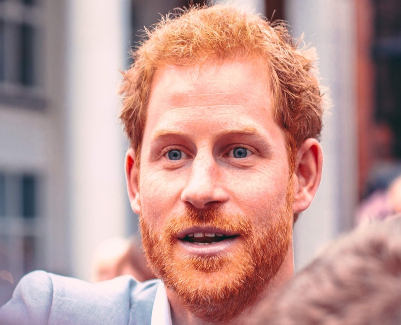 prince harry memoir