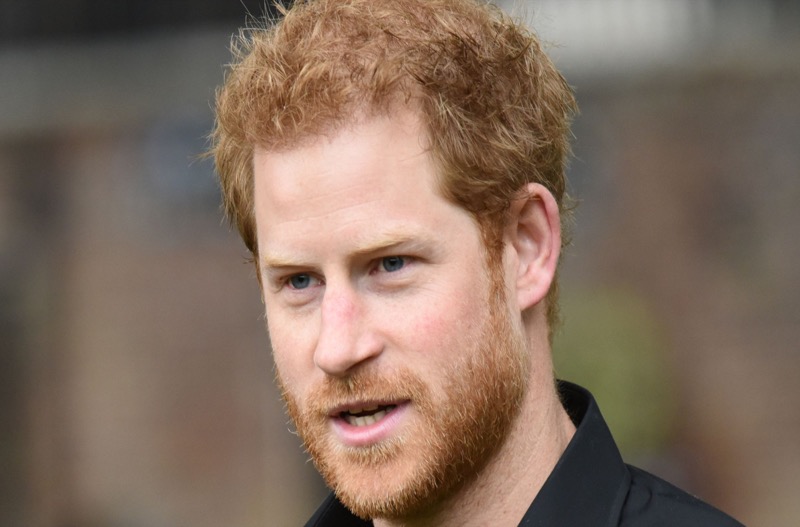 British Royal News: Will Prince Harry Talk About His Feud With Prince William In His Memoir?