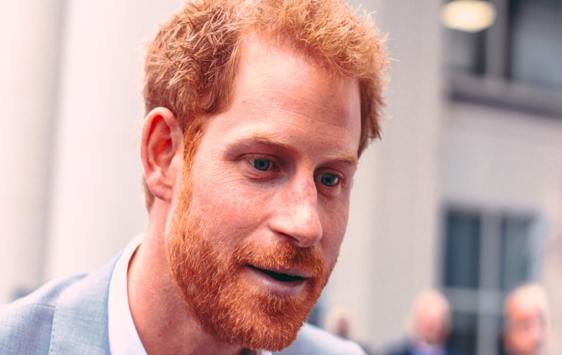 British Royal News POLL: Will You Read Prince Harry's New Memoir?