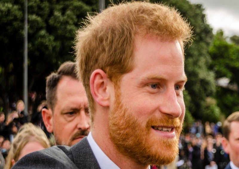 Royal Family News: Prince Harry’s Book Predicted To Savage His “Parenting” and the Monarchy