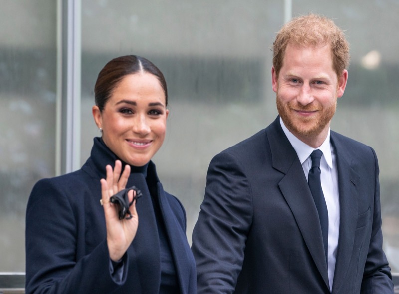 Royal Expert Claims Negative Press Distracts the Sussexes From Doing “Important Things“