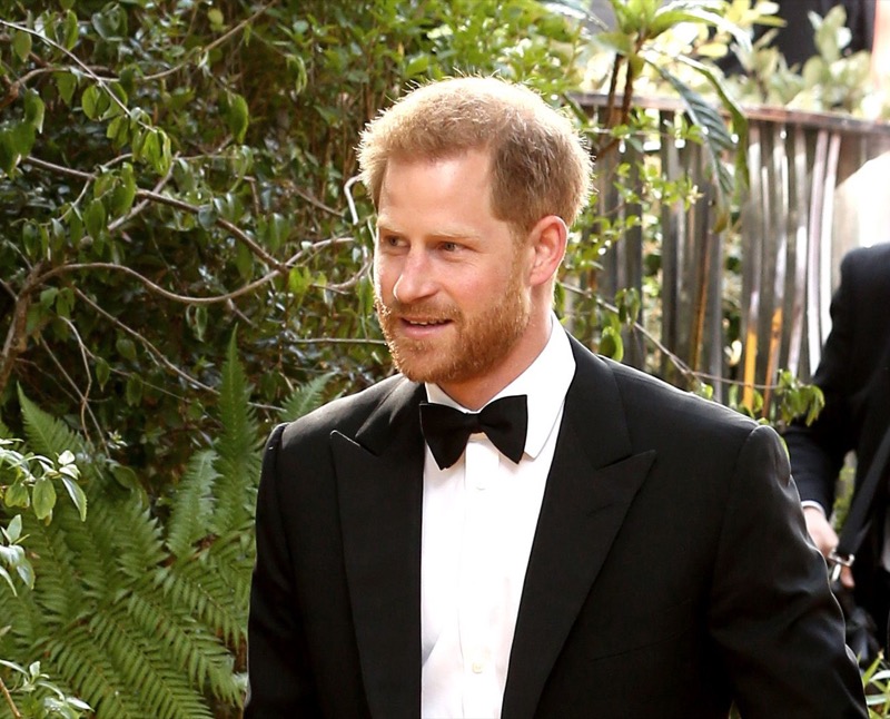 Prince Harry's Approach To Family Conflict Criticized By Royal Commentator