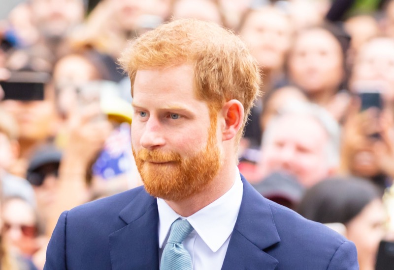 What Role Could Prince Harry Have During The Reign Of His Father?