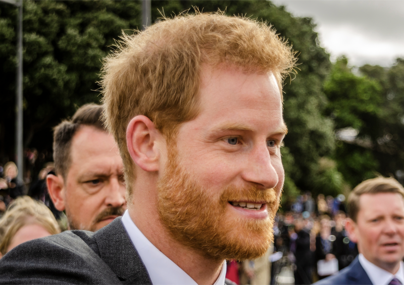 Prince Harry Committed To Go On A Book Tour Following Publication Of Memoir