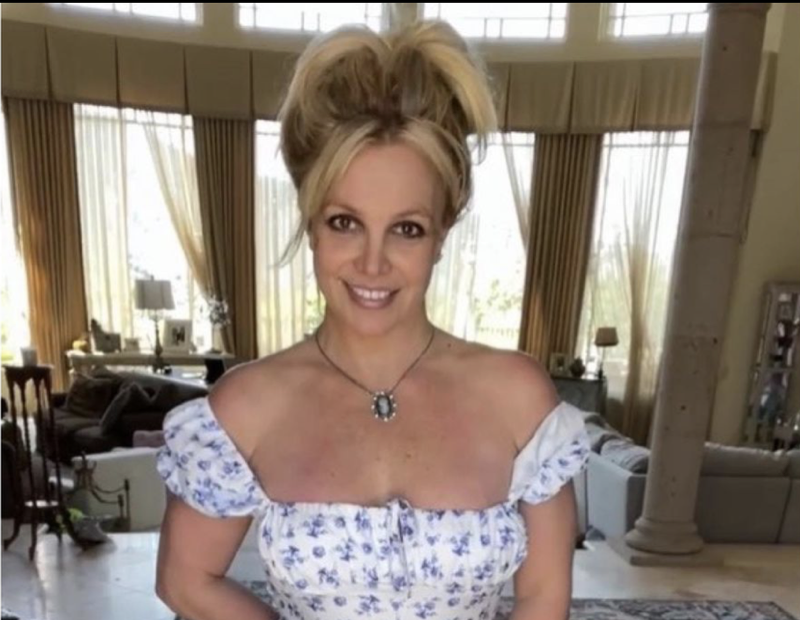 Britney Spears May Need To Choose Between Sharing On Instagram And Her Sons: Here's Why!