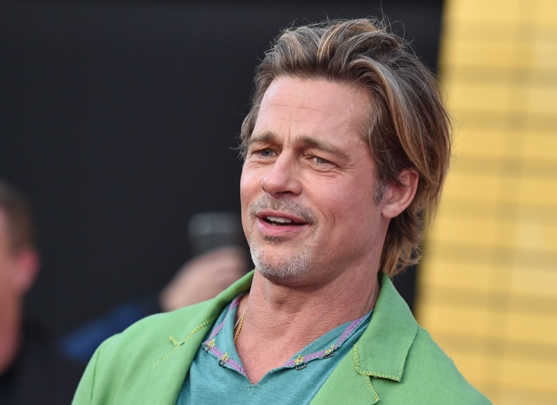 Brad Pitt's Girlfriend Emily Ratajkowski Throws Shade At Estranged Hubby Sebastian Bear-McClard!