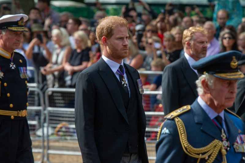 Royal Family News: Prince Harry WILL Postpone Blockbuster Memoir Out of “Respect” For Queen Elizabeth