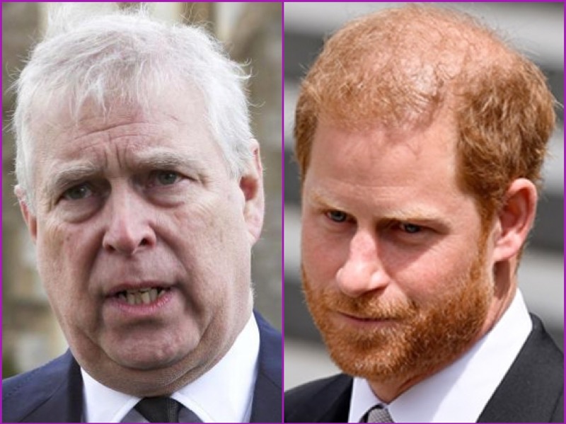 Prince Harry And Andrew Will Not Attend State Event With World Leaders