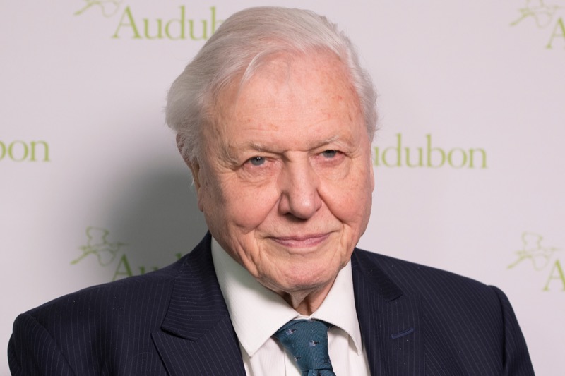 Sir David Attenborough Reveals What He Loved About Queen Elizabeth