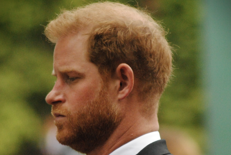 Prince Harry Could Resume Royal Family Duties IF Duke Persuades Meghan Markle AND Sacrifices $20 Million Memoir!