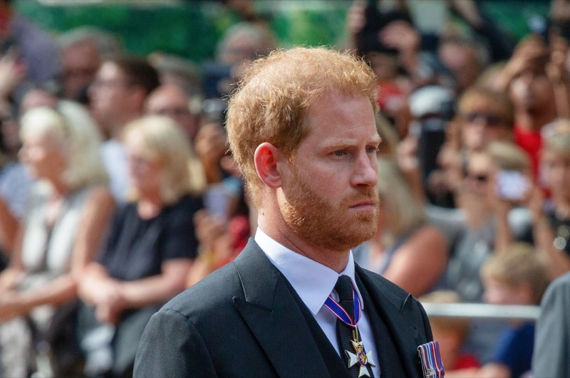 Royal Family News: Prince Harry Wanted A “Mediator” To Fix The Mess He Made With His Family, Camilla Put Him In His Place