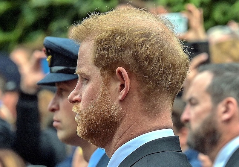 Royal Family News: Prince Harry Fears Bombshell Memoir Is A Bad Look After Queen’s Death