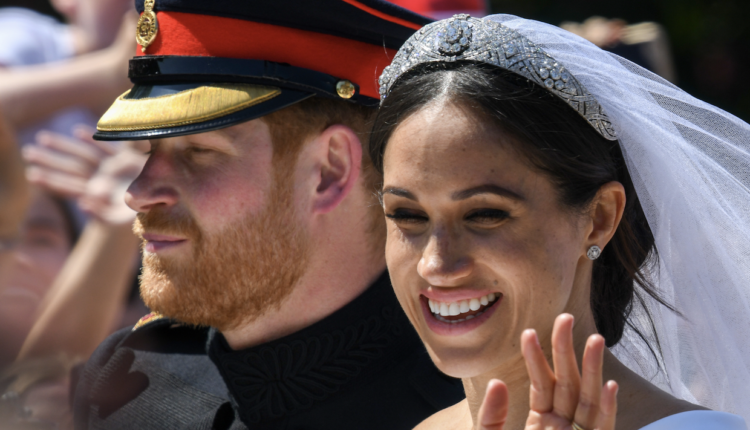 The-sussexes