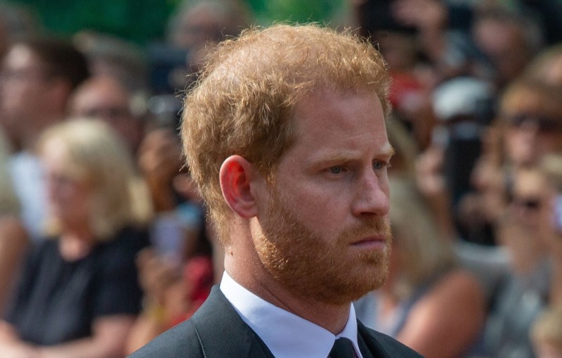 Royal Family News: Prince Harry Wrote Spare Because He’s Done “Trying to Make His Family Happy”