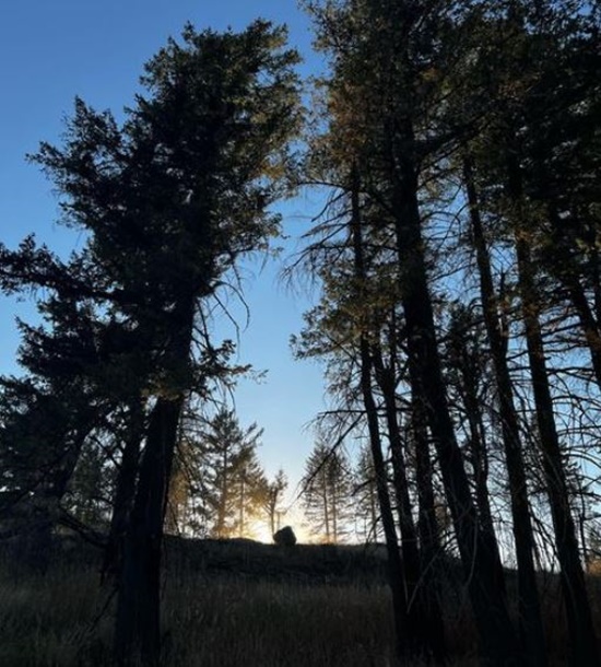 Alaskan Bush People Rain Reminds People Of Their Roots