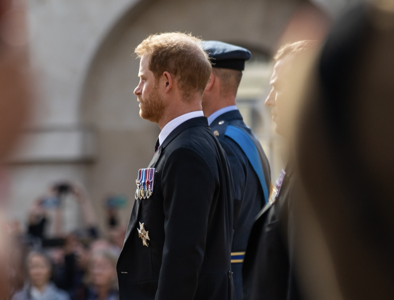 Netflix Reacts To Prince Harry Wanting To Edit His Story Amid New Meghan Markle Photo Fiasco!