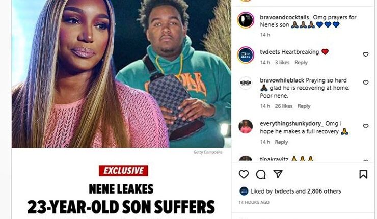 RHOA Fans Stunned To hear About NeNe Leakes Son Ill Health