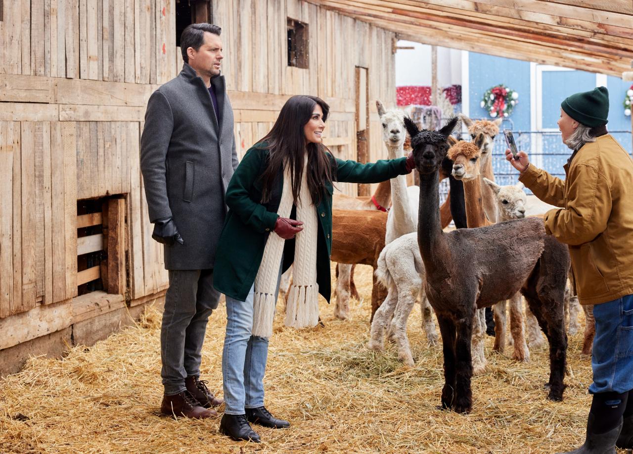 Marisol Nichols, Kristoffer Polaha in We Wish You a Married Christmas on Hallmark Channel