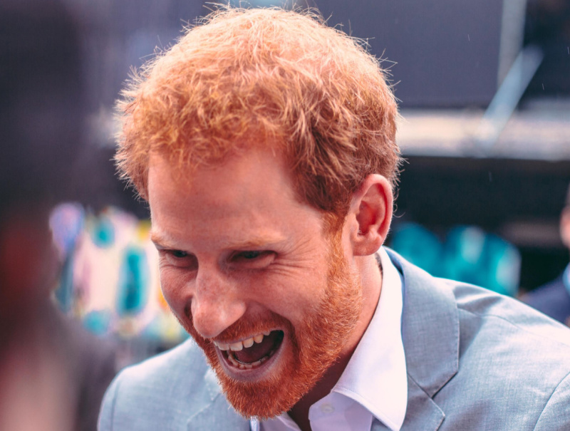 Royal Family News: Prince Harry Should Ditch Selfish Ambitions, Serve Commonwealth