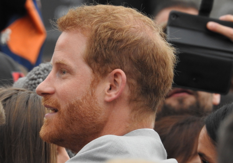 Royal Family News: How Can Prince Harry Take Netflix Cash As They “Cruelly Exploit” His Mother?