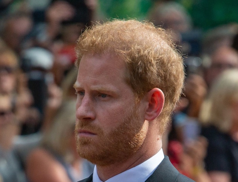 Royal Family News: Prince Harry Disses Family AND Military As Negligent, Ignored His Needs