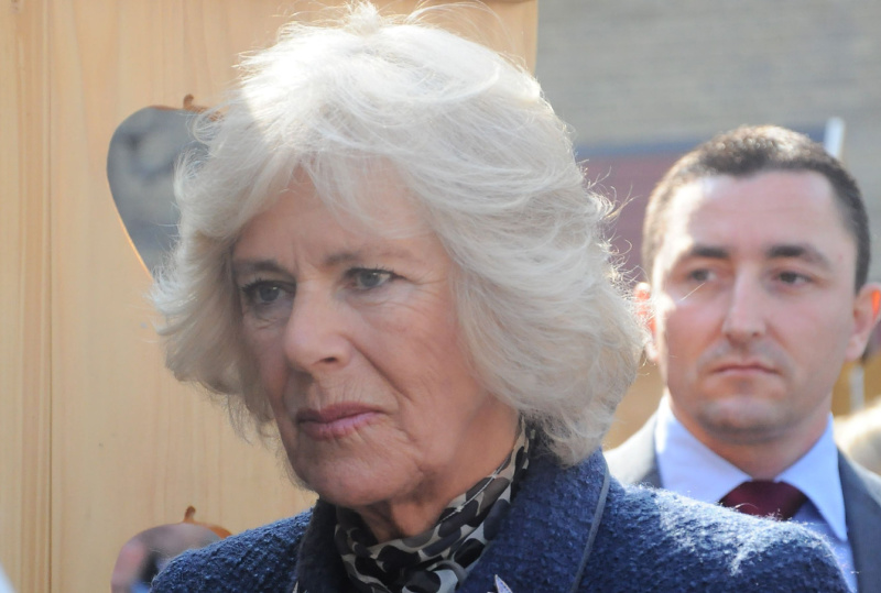 Royal Family News: Why Is Camilla A Queen Consort And Not A Queen?