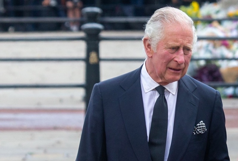 Royal Family News: King Charles Not Trying To Snub Prince Harry And Meghan Markle