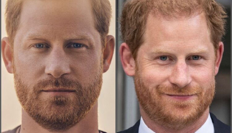 Prince-Harry-Book