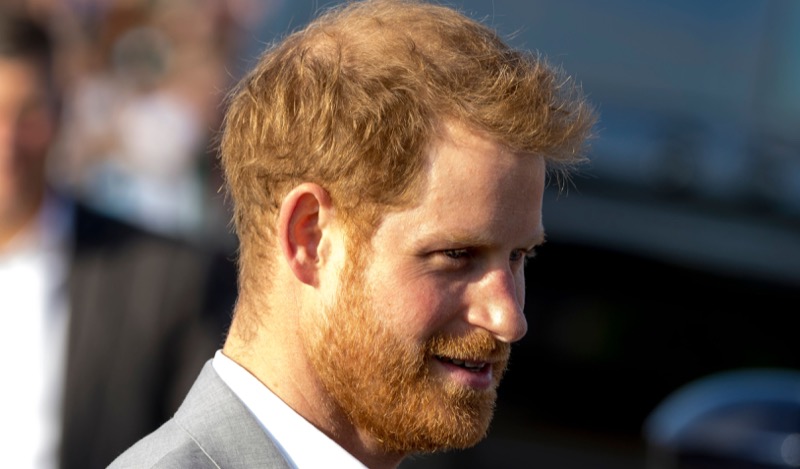 Royal Expert Chimes In On How People Could Perceive Prince Harry's Memoir