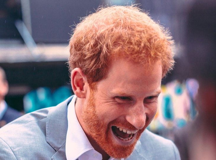 Prince Harry Reportedly Wants To Delay His Docuseries Until After Christmas