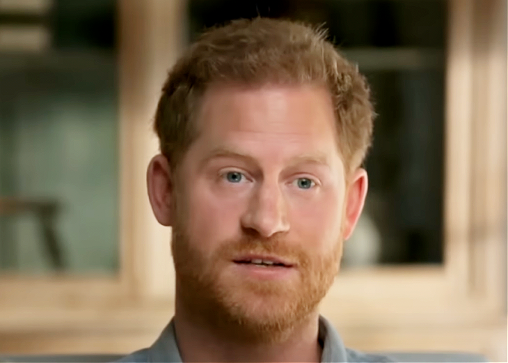 Royal Family News: Prince Harry Once Boasted About Being the Spare, What Happened?