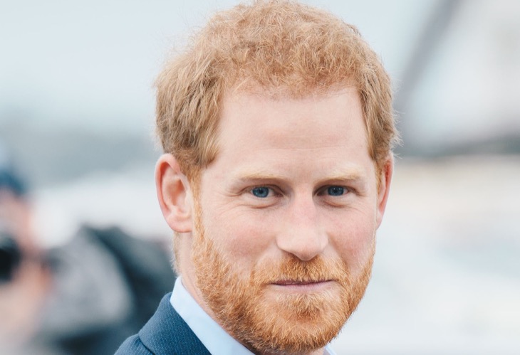 Royal Family News: Epic Netflix Resignation Letter Written For Prince Harry