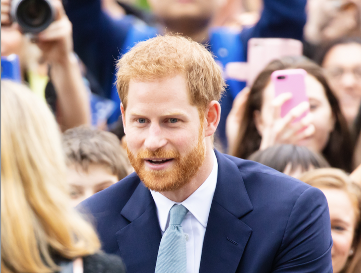 Royal Family News: Princess Diana Would Be Appalled, Prince Harry’s A Royal “Hitman”