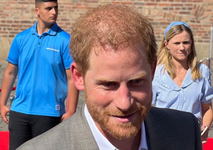 Prince Harry May Not Want To Be A Royal, But He Enjoys His Royal Titles Very Much