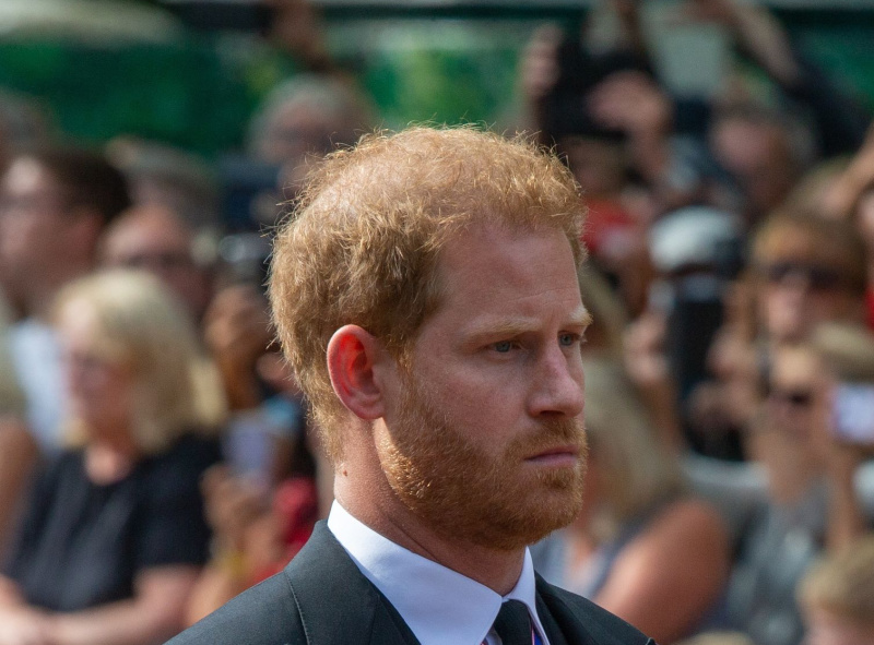 Royal Family News: Prince Harry’s Inner Circle Questions Reason For Book, Docuseries, Expert Says