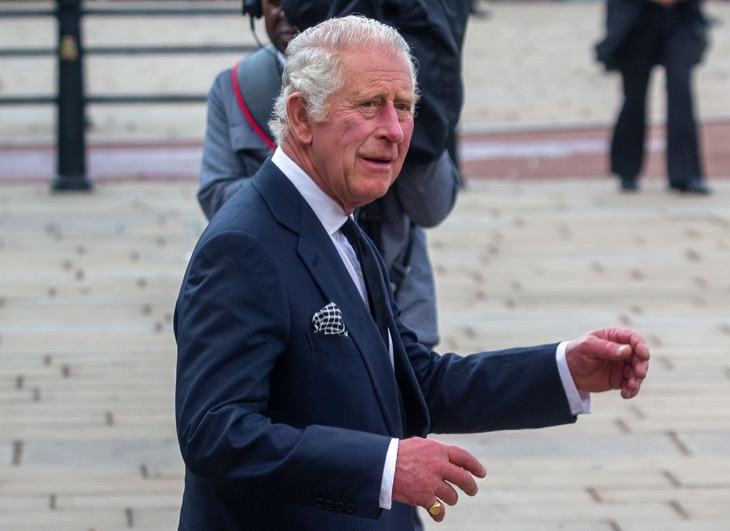 Royal Family News: King Charles Urged To Take Action Over Prince Harry And Meghan Markle’s Titles