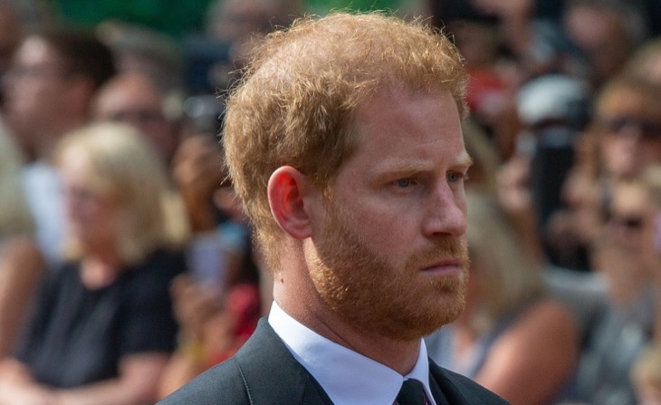 Royal Family News: Prince Harry’s Friends “Concerned” Over Tattle Tale Memoir And Reality Show “Accusations”