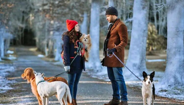 dog-days-of-christmas3