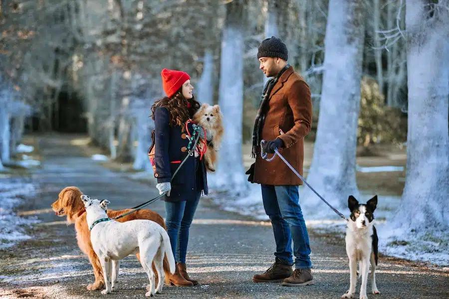 Georgia Flood and Ezekiel Simat in Dog Days of Christmas on Lifetime