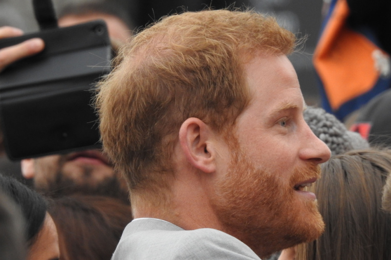 Prince Harry Calls Survival In the Royal Family “A Dirty Game”