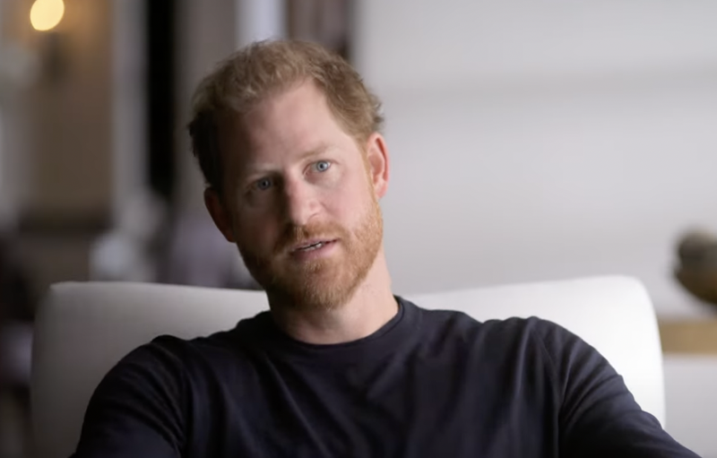 Prince Harry Personally Attacks Brother Prince William In Latest Netflix Trailer