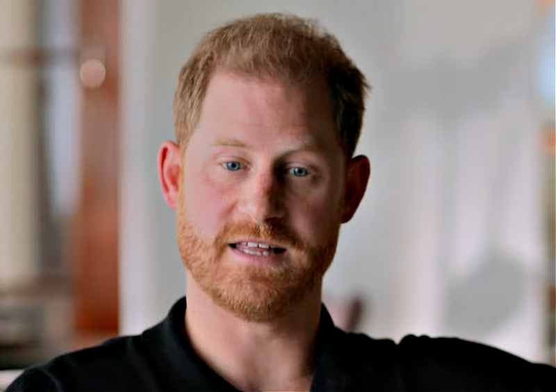 Royal Family News: Prince Harry Talks About Spare To Friendly, Biased Reporter Tom Bradby