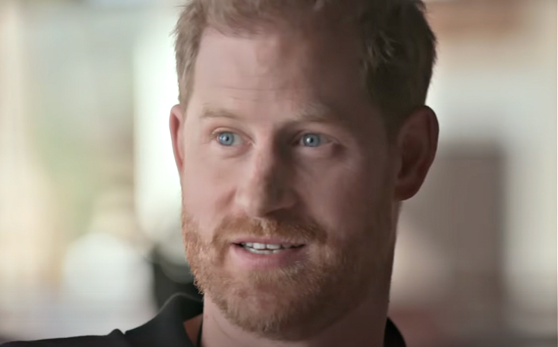 Redditor Gives Prince Harry Some Advice About Claims Of Harassment