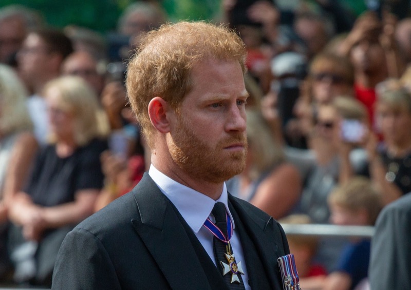 Royal Family News: Prince Harry’s Memoir Is ‘Tough’ On Prince William