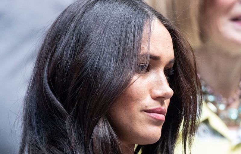 Royal Family News: Meghan Markle Overqualified To Be A Working Member Of The Royal Family?