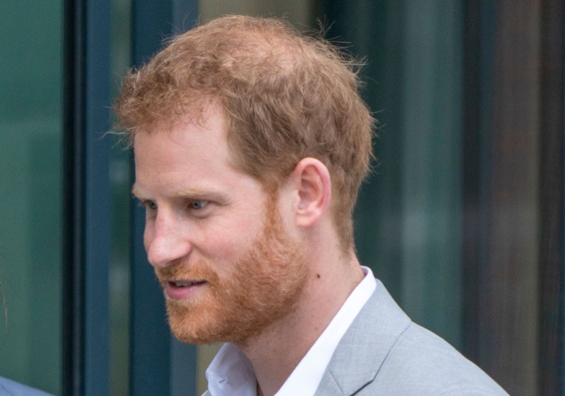 Royal Expert Jan Moir Claims Prince Harry Has "A Hostile Desire For Vengeance"