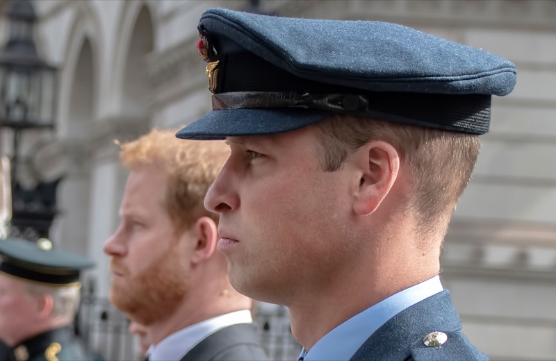 Prince Harry's Relationship With Brother Prince William Is Hanging By A Thread, Expert Says