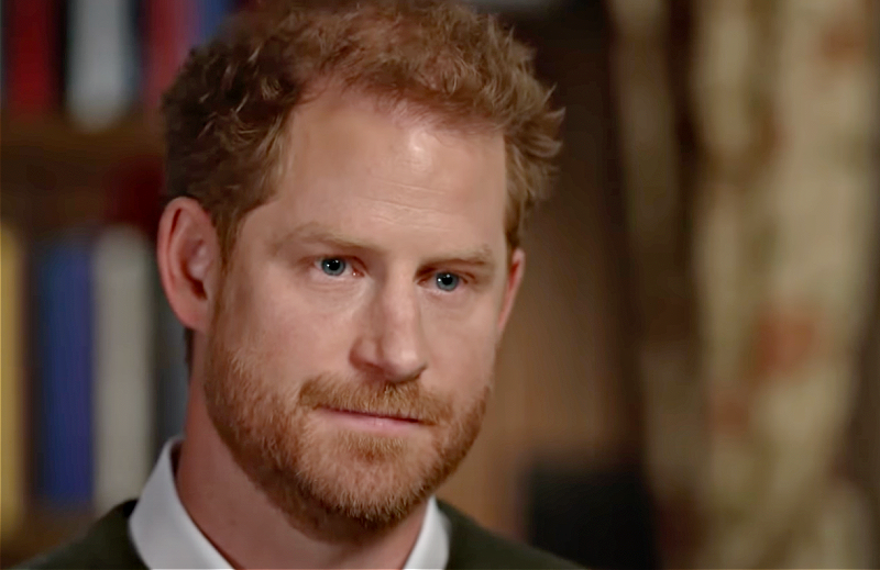 Prince Harry Believes Psychedelic Drugs Help Grief