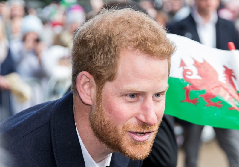 Royal Family News: Prince Harry Called A “Sensitive Faberge Egg” Told To Butt Out Of William’s Kids’ Lives