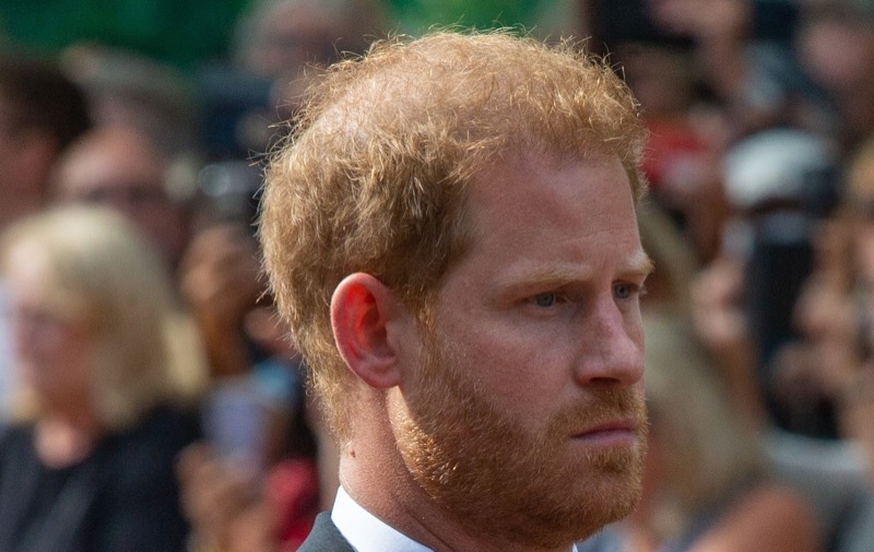 Royal Family News: Prince Harry Attacked His Own Bodyguard ‘Billy the Rock' In A Drunken Stupor